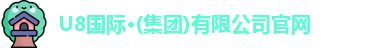 U8国际官网